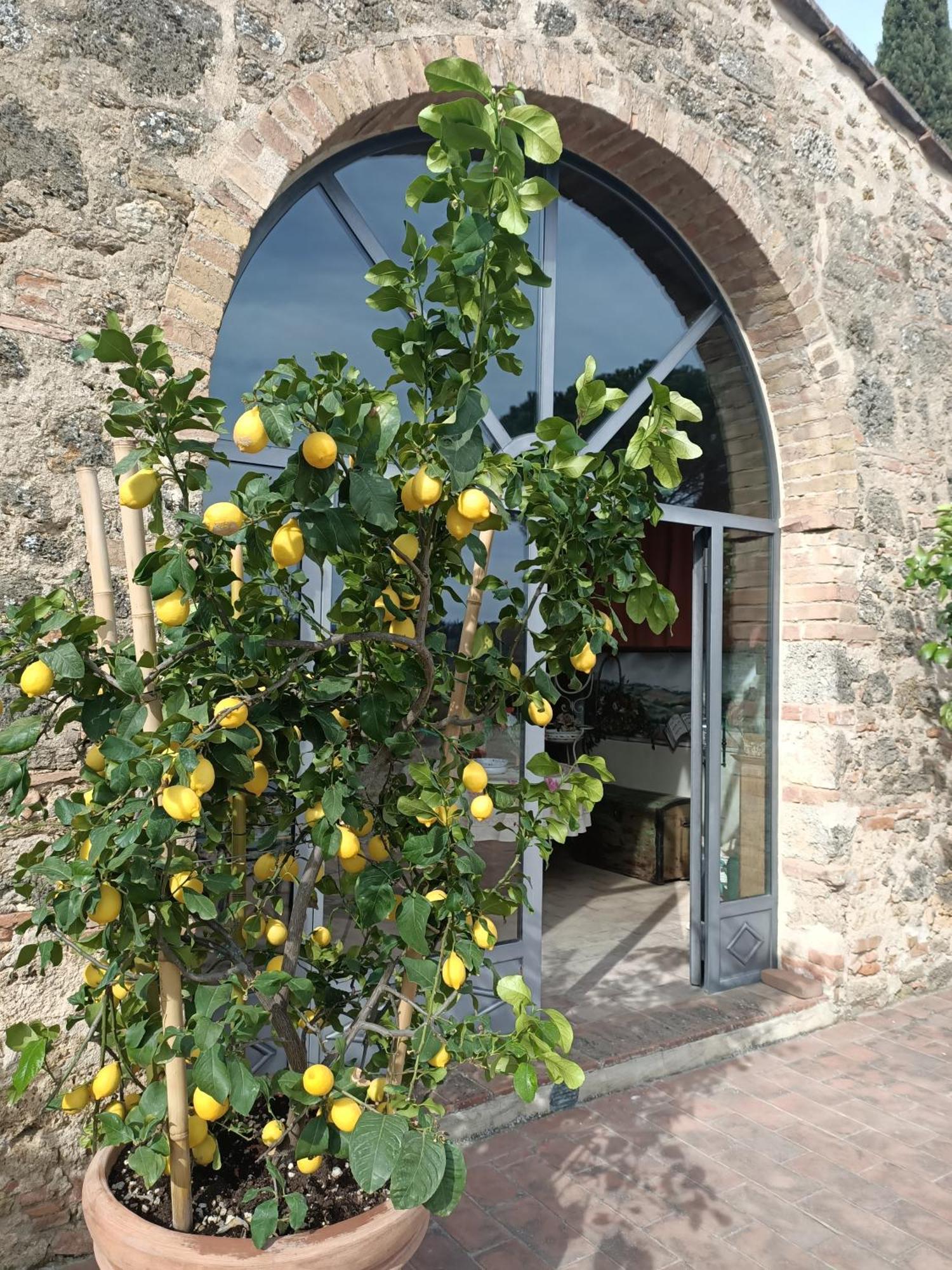 Relais Antico Borgo San Lorenzo Poggibonsi Exteriér fotografie